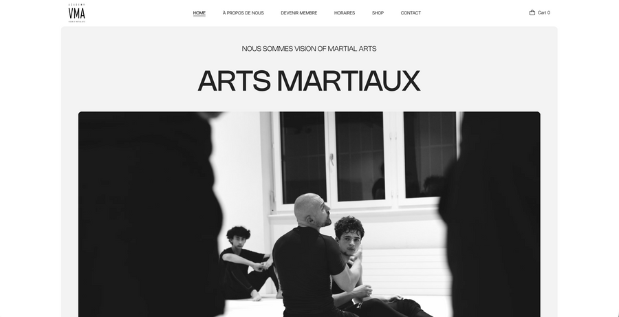 Vision Of Martial Arts